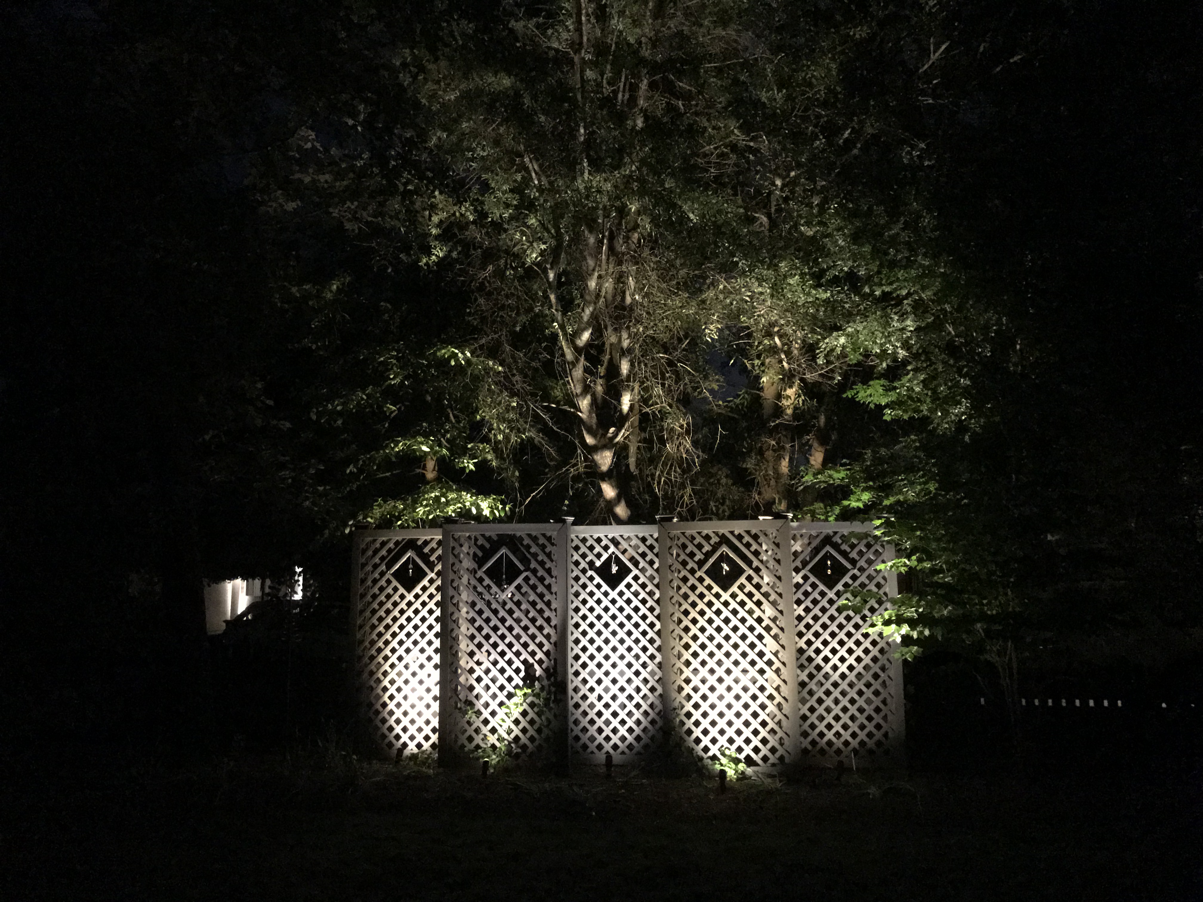 alt="Create an oasis with outdoor landscape lighting"