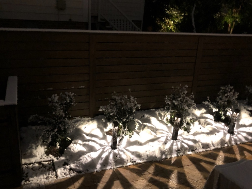  landscape lighting projects in the recent snow