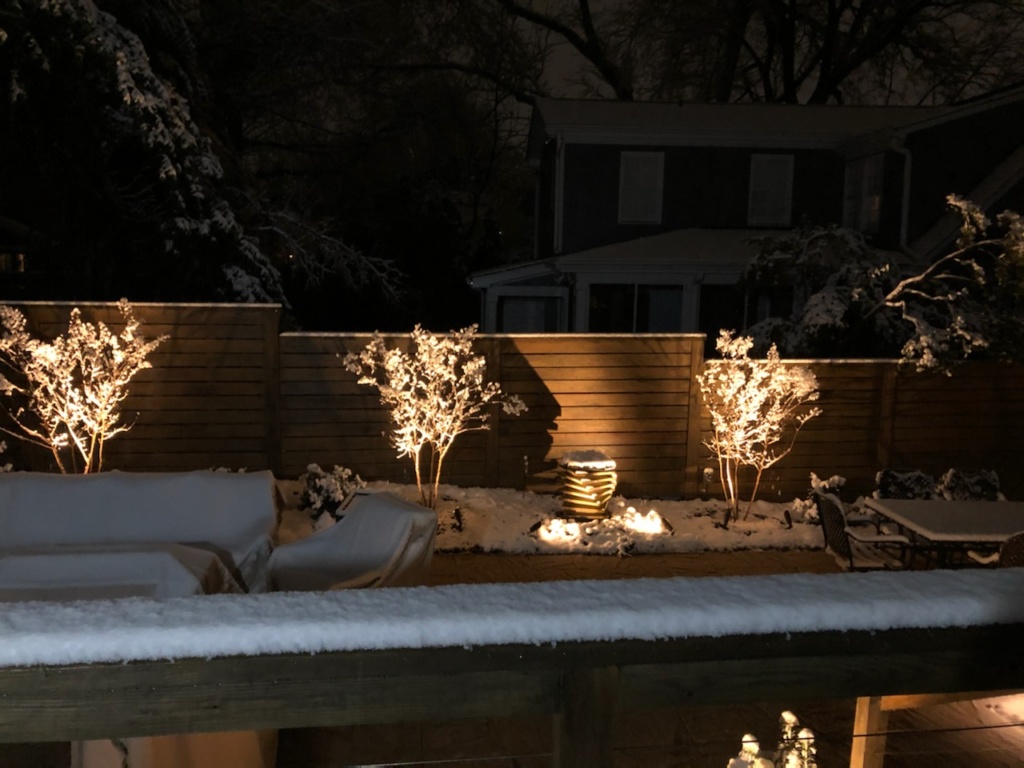  landscape lighting projects in the recent snow