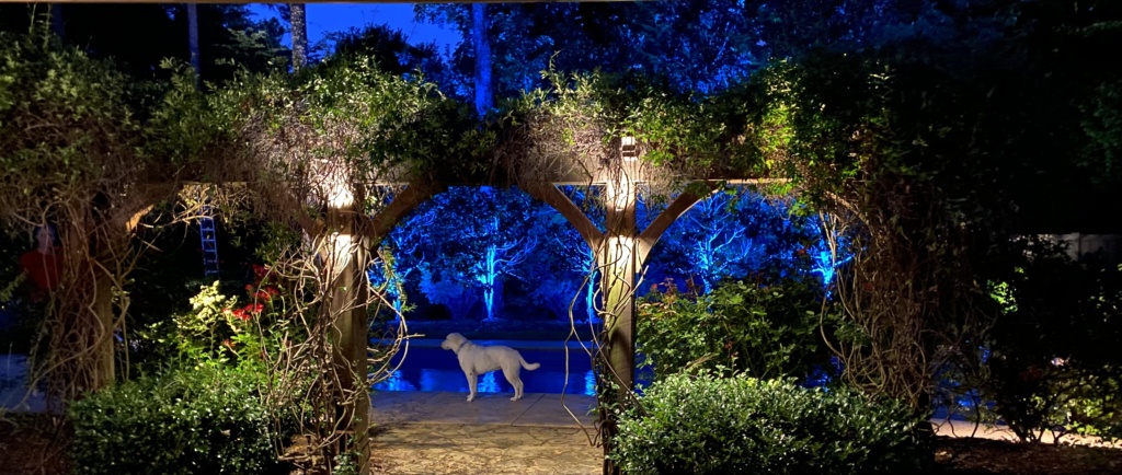 Alt"backyard private sanctuary with landscape lighting in Raleigh NC"